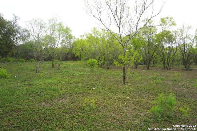 Image 6 of 8 For Tract A Loop 1604 E S