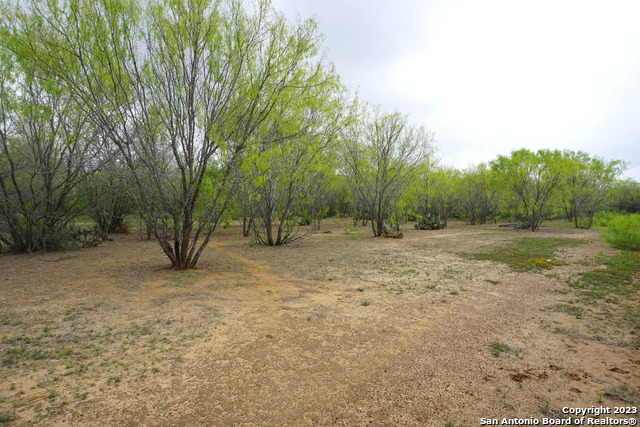 Image 7 of 8 For Tract A Loop 1604 E S