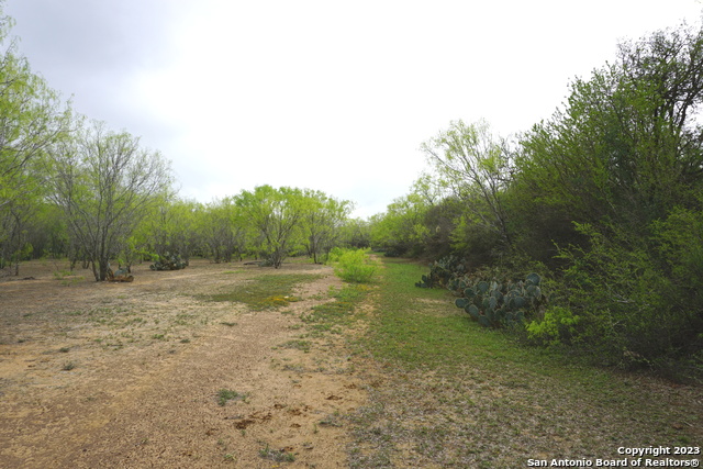 Image 8 of 8 For Tract A Loop 1604 E S