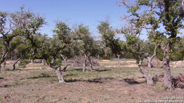 Image 17 of 32 For Lot 12 Byrd Ranch Road