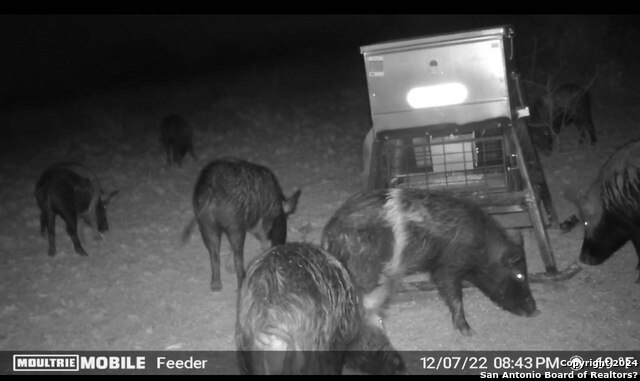 Image 10 of 17 For 6116 Private Rd Lot-19 N