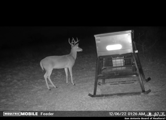 Image 16 of 17 For 6116 Private Rd Lot-19 N