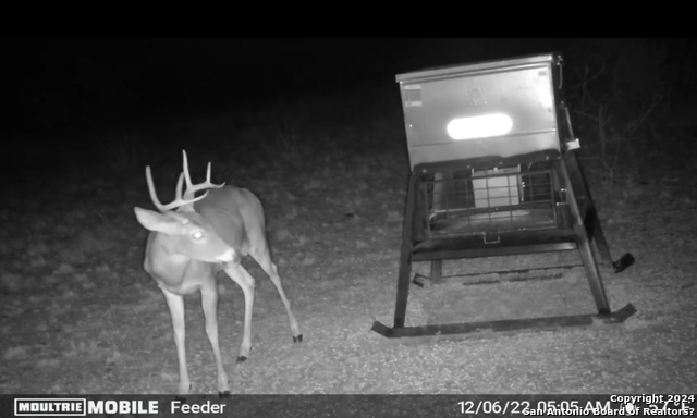 Image 17 of 17 For 6116 Private Rd Lot-19 N