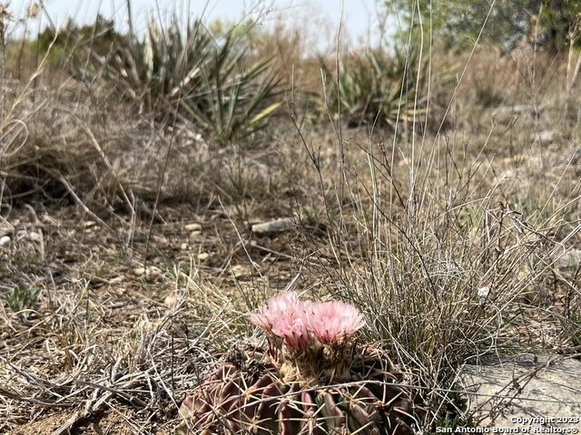 Image 2 of 17 For 6116 Private Rd Lot-19 N