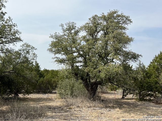 Image 4 of 17 For 6116 Private Rd Lot-19 N