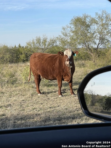 Image 6 of 17 For 6116 Private Rd Lot-19 N