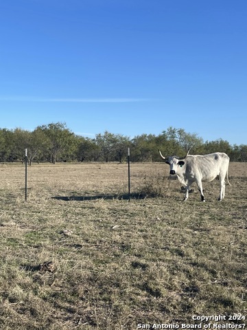 Image 7 of 17 For 6116 Private Rd Lot-19 N