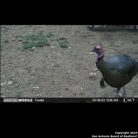 Image 9 of 17 For 6116 Private Rd Lot-19 N