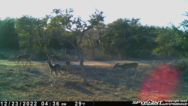 Image 19 of 32 For Lot 12 Byrd Ranch Road