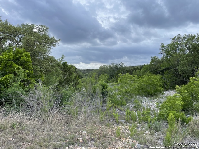 Image 8 of 14 For 1191 County Road 241