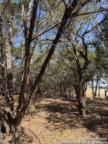 Image 14 of 47 For 2127 Andalusia Ne