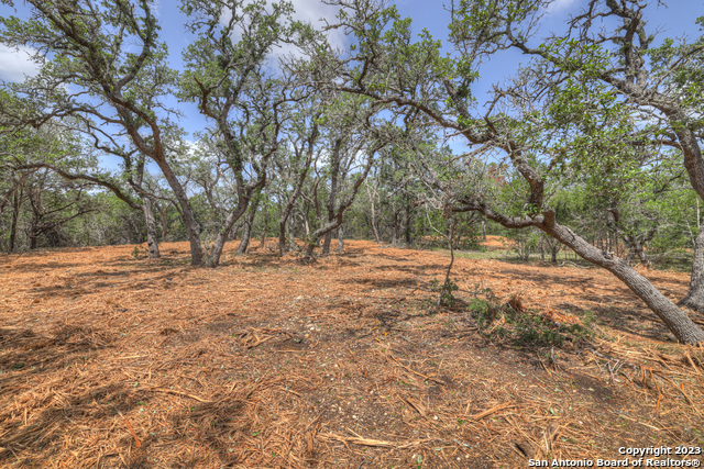 Image 9 of 17 For 1158 Madrone Rd