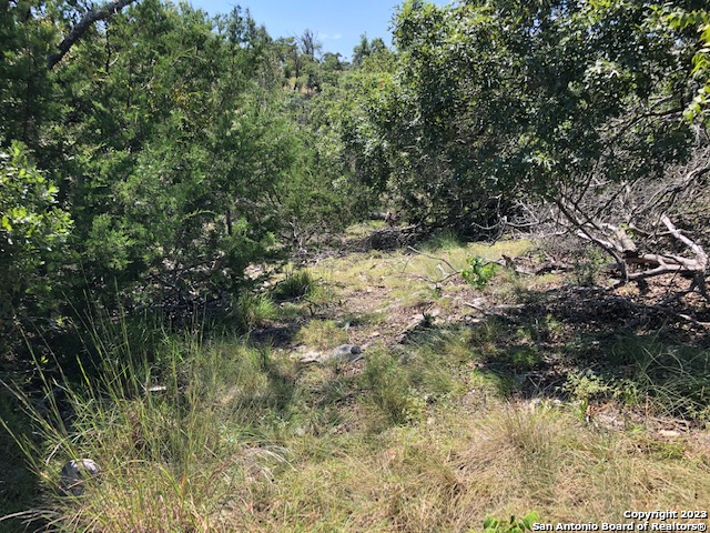 Details for Lot 8 Longview Drive, Fredericksburg, TX 78624