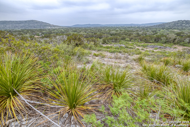 Details for Concan, Tx 7883 00, ConCan, TX 78838