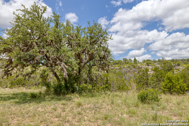 Image 64 of 107 For County Road 415 Pr 2780