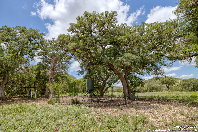 Image 65 of 107 For County Road 415 Pr 2780