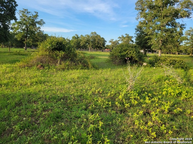 Details for 1130 Blacksmith Ln, WEIMAR, TX 78962