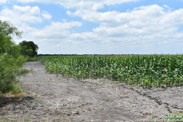 Details for 48.973 Acres Co Rd 583, LaCoste, TX 78039