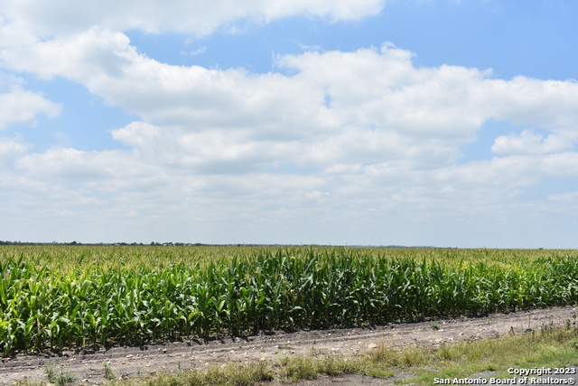 Image 10 of 16 For 48.973 Acres Co Rd 583