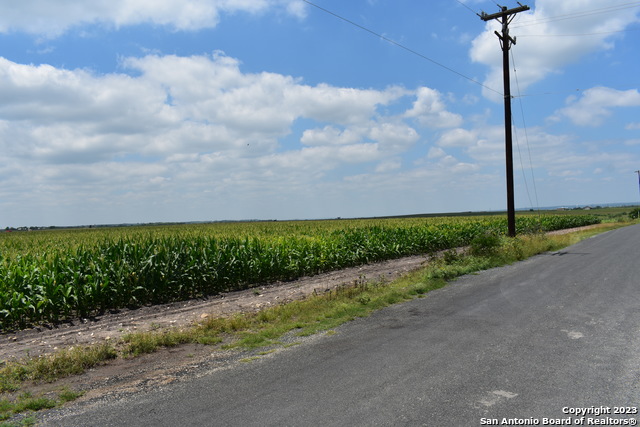 Image 11 of 16 For 48.973 Acres Co Rd 583