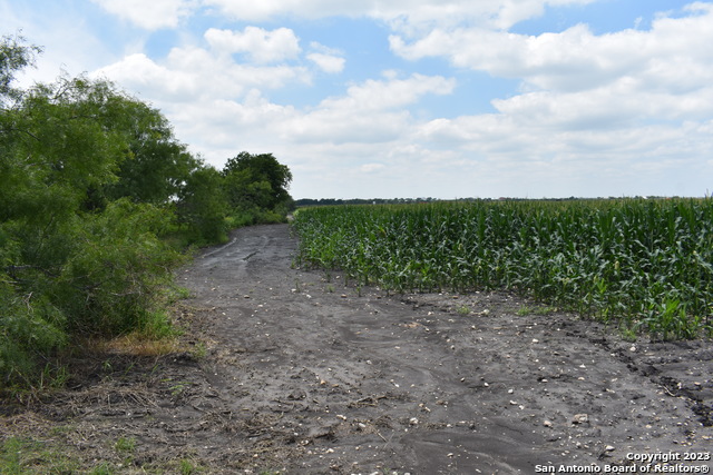 Image 4 of 16 For 48.973 Acres Co Rd 583