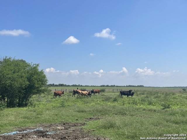 Image 6 of 44 For Tbd Hwy 81 - Cr115