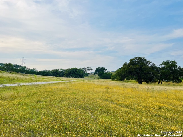 Details for 1822 Shepherds Ranch, Bulverde, TX 78163