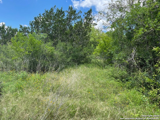 Image 8 of 9 For 255 County Road 386