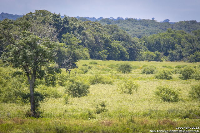 Image 8 of 17 For 181 Pine Meadow Rd