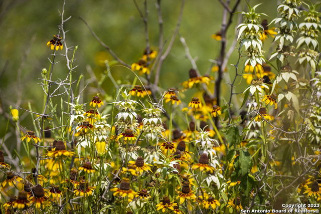 Image 9 of 17 For 181 Pine Meadow Rd