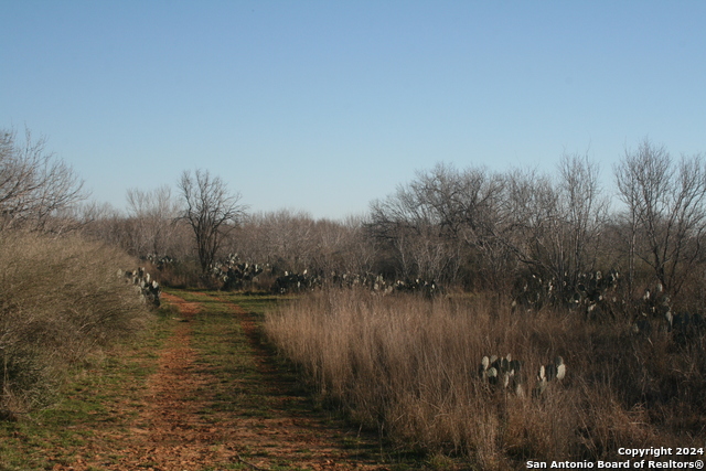 Image 11 of 20 For 00 Fm 462 South