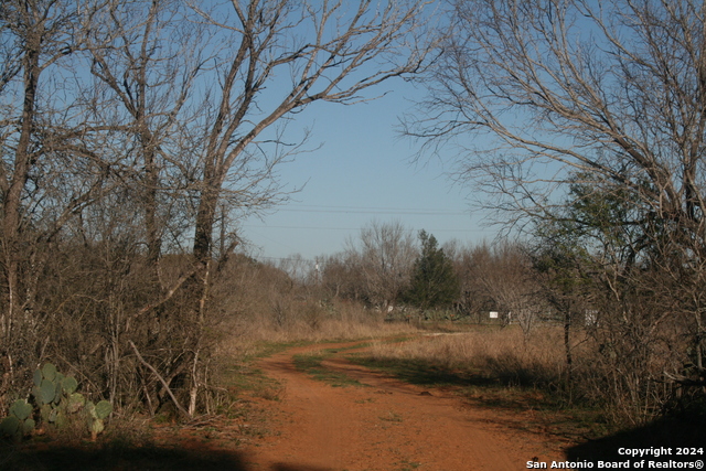 Image 8 of 20 For 00 Fm 462 South