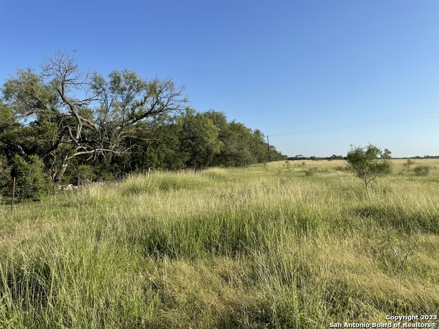 Image 6 of 44 For 1080 County Road 747