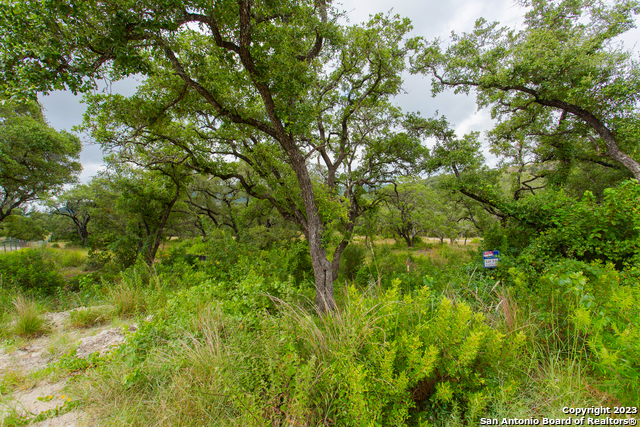 Image 3 of 23 For Lot 53 Clear Water Cyn