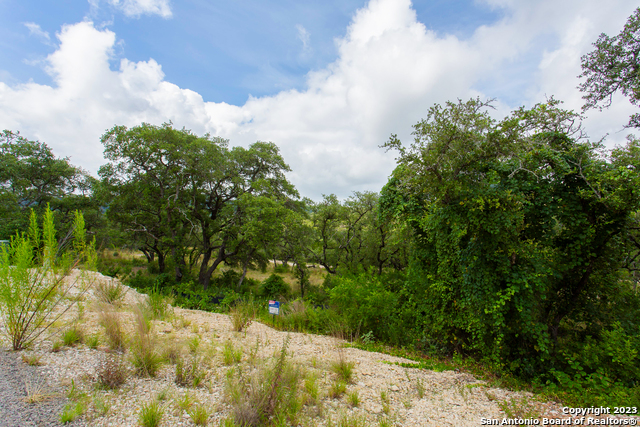 Image 6 of 23 For Lot 53 Clear Water Cyn