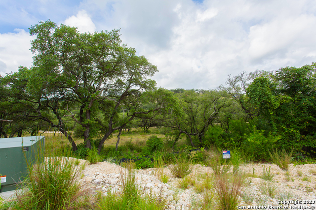 Image 5 of 23 For Lot 54 Clear Water Cyn