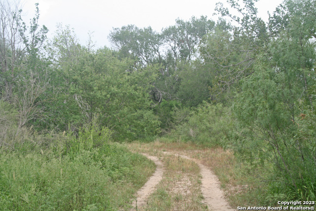 Image 16 of 33 For 00 County Road 731