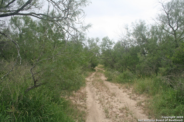 Image 6 of 33 For 00 County Road 731