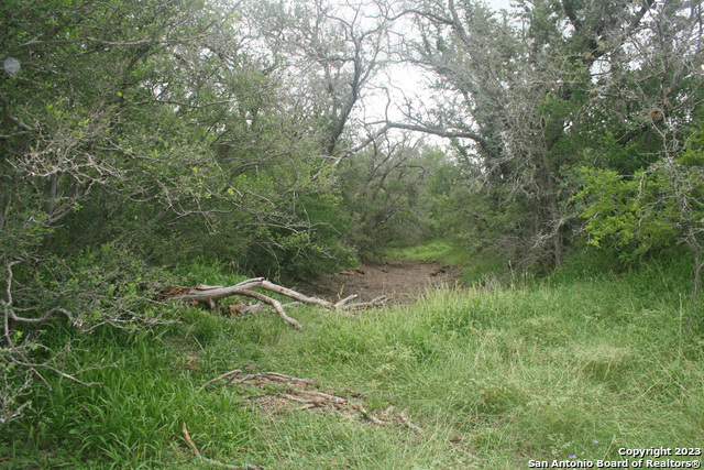 Image 7 of 33 For 00 County Road 731