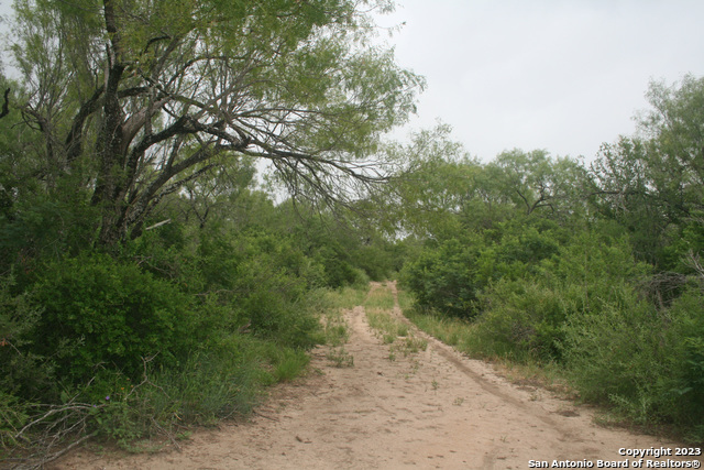 Image 8 of 33 For 00 County Road 731