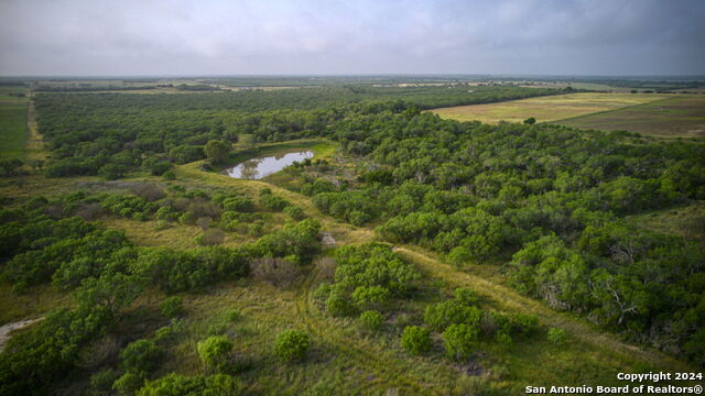 Image 43 of 66 For 2538 County Road 223