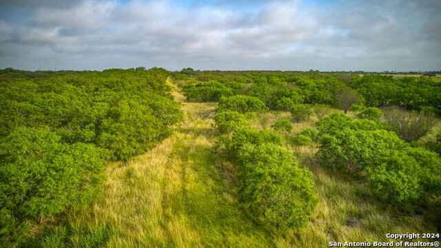 Image 46 of 66 For 2538 County Road 223