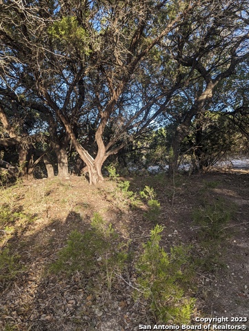 Image 6 of 15 For Lot 469 Topside Trl