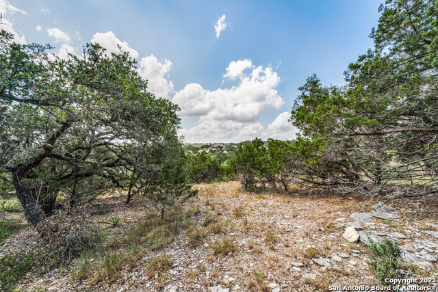 Image 8 of 14 For 1817 Mountain Springs