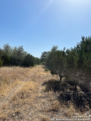 Listing photo id 11 for 405 Harrell-sanders Rd