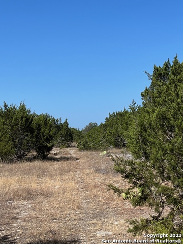 Listing photo id 13 for 405 Harrell-sanders Rd