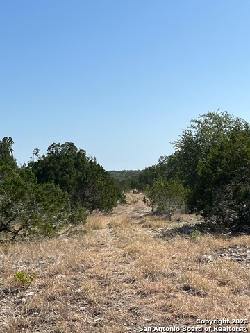 Listing photo id 14 for 405 Harrell-sanders Rd