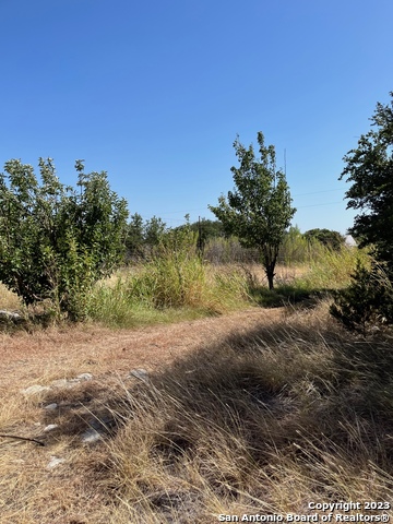 Listing photo id 3 for 405 Harrell-sanders Rd