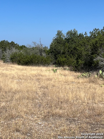 Listing photo id 6 for 405 Harrell-sanders Rd