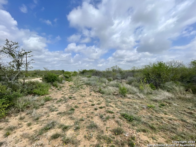 Details for Tract 2 Cr 1670, Moore, TX 78057